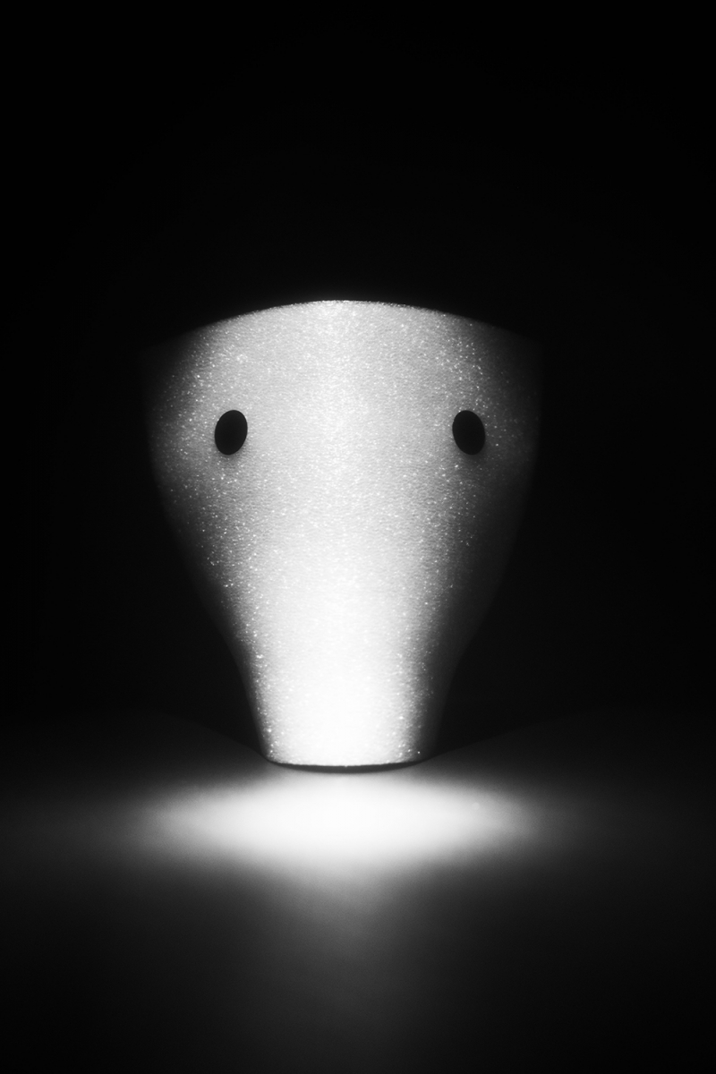 physiognomies