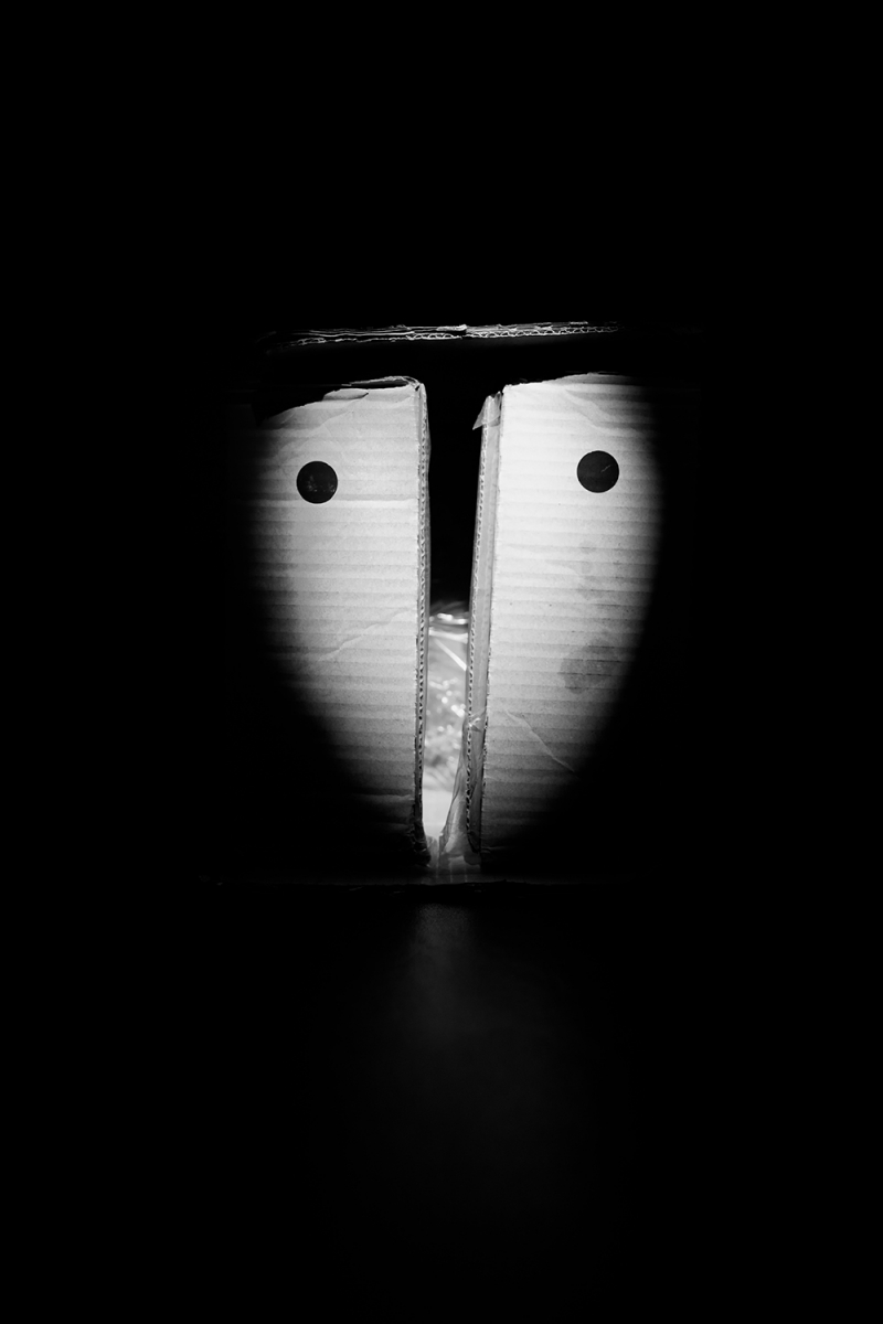 physiognomies