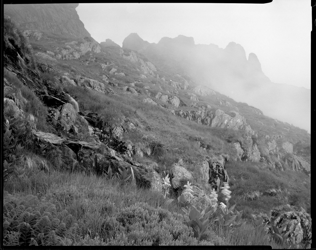 Romanian Carpathians