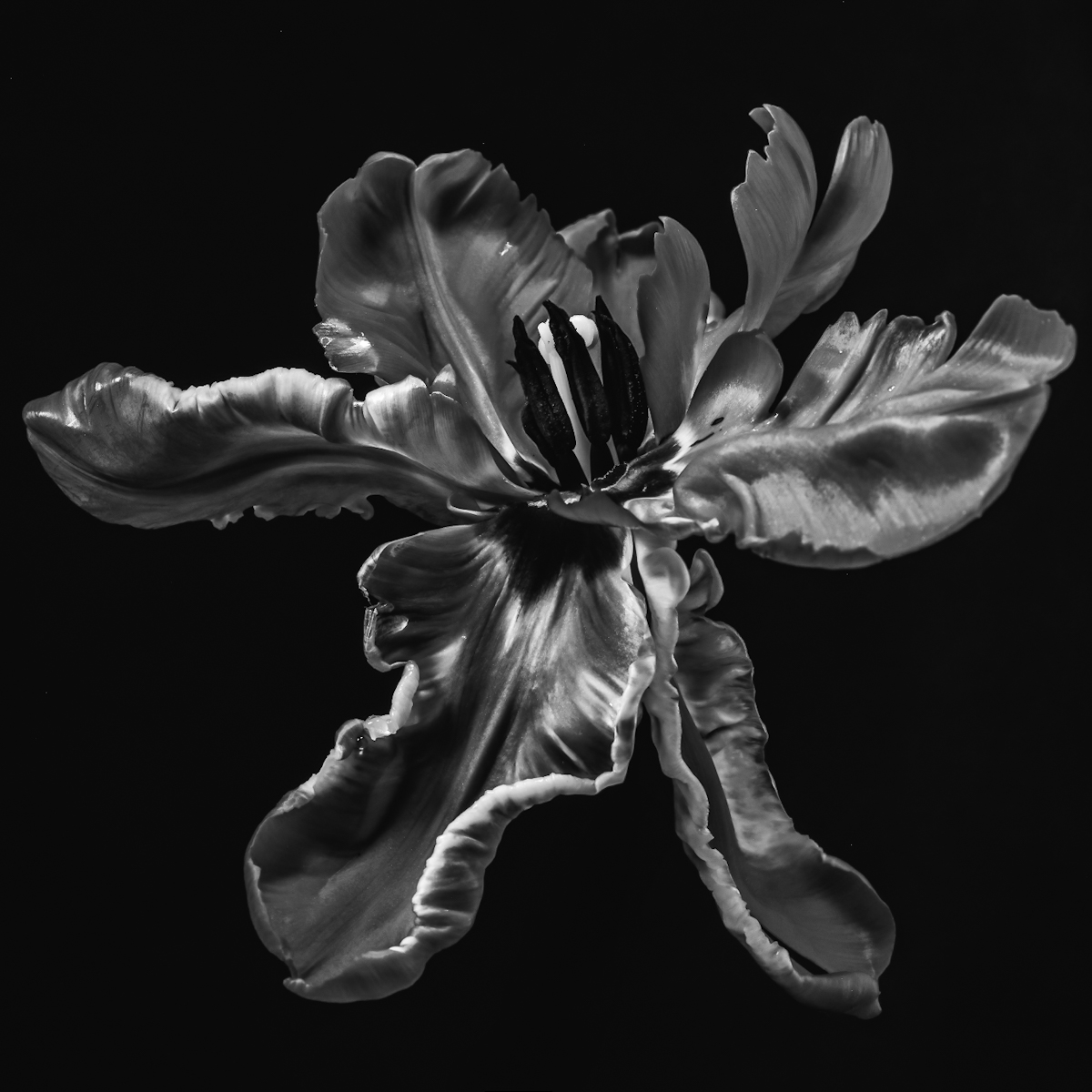 Sculpted 
