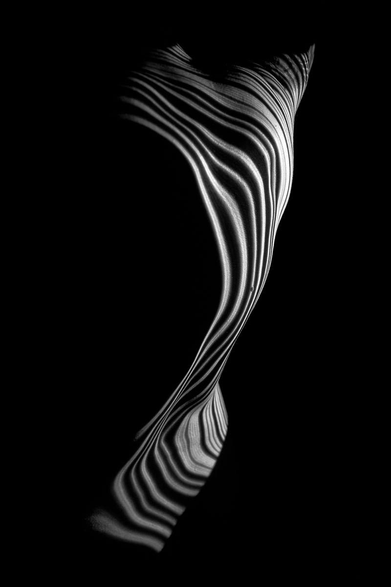 Shards of Light