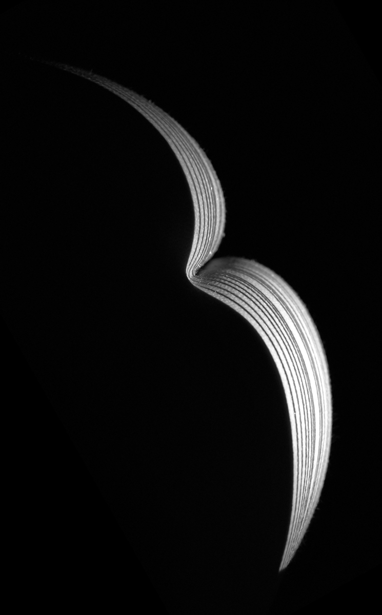 Shards of Light