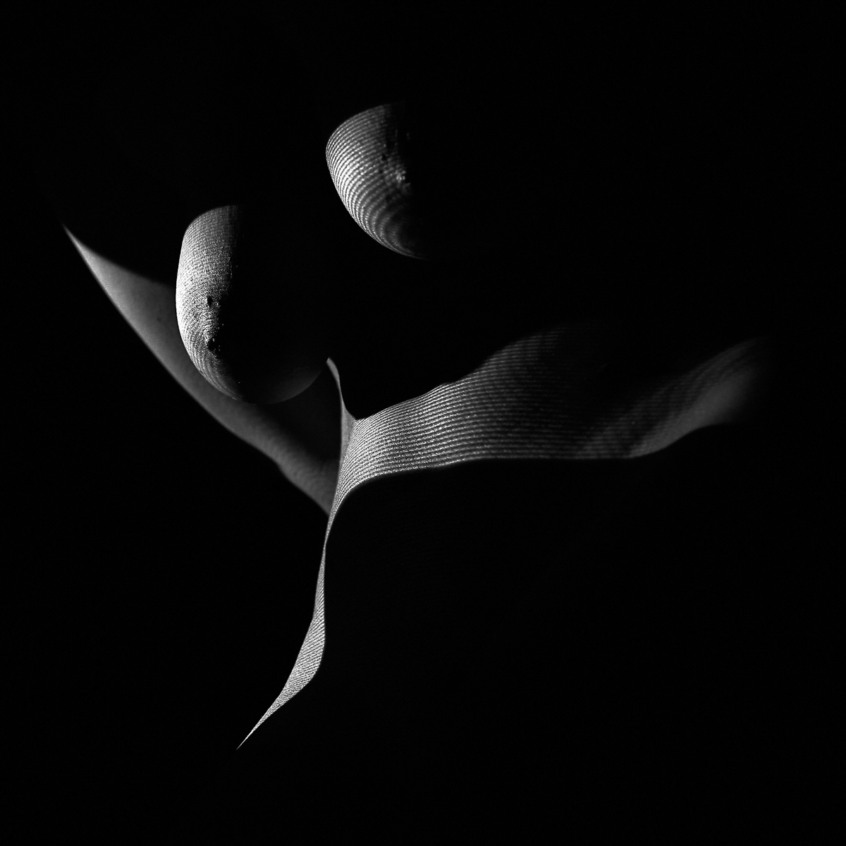 Shards of Light
