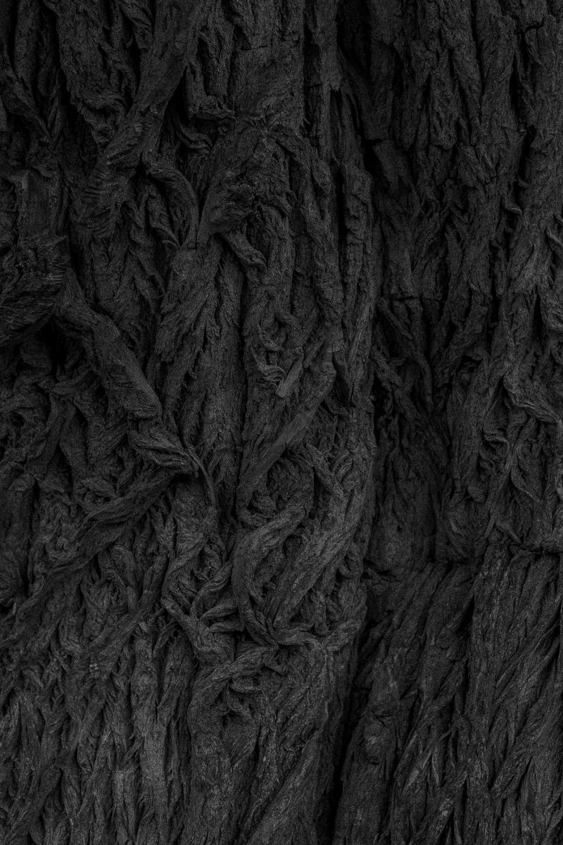 Connections