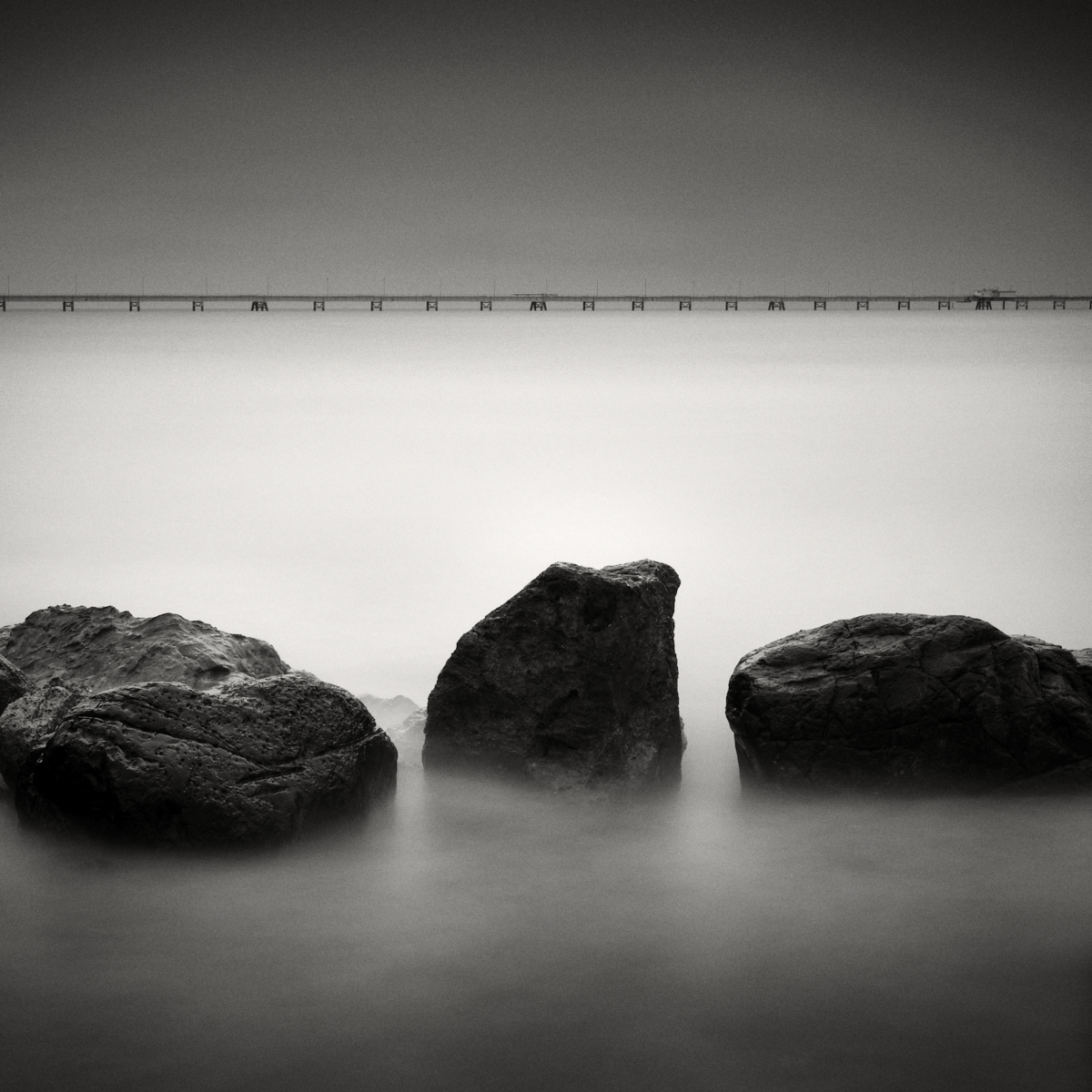 Stasis