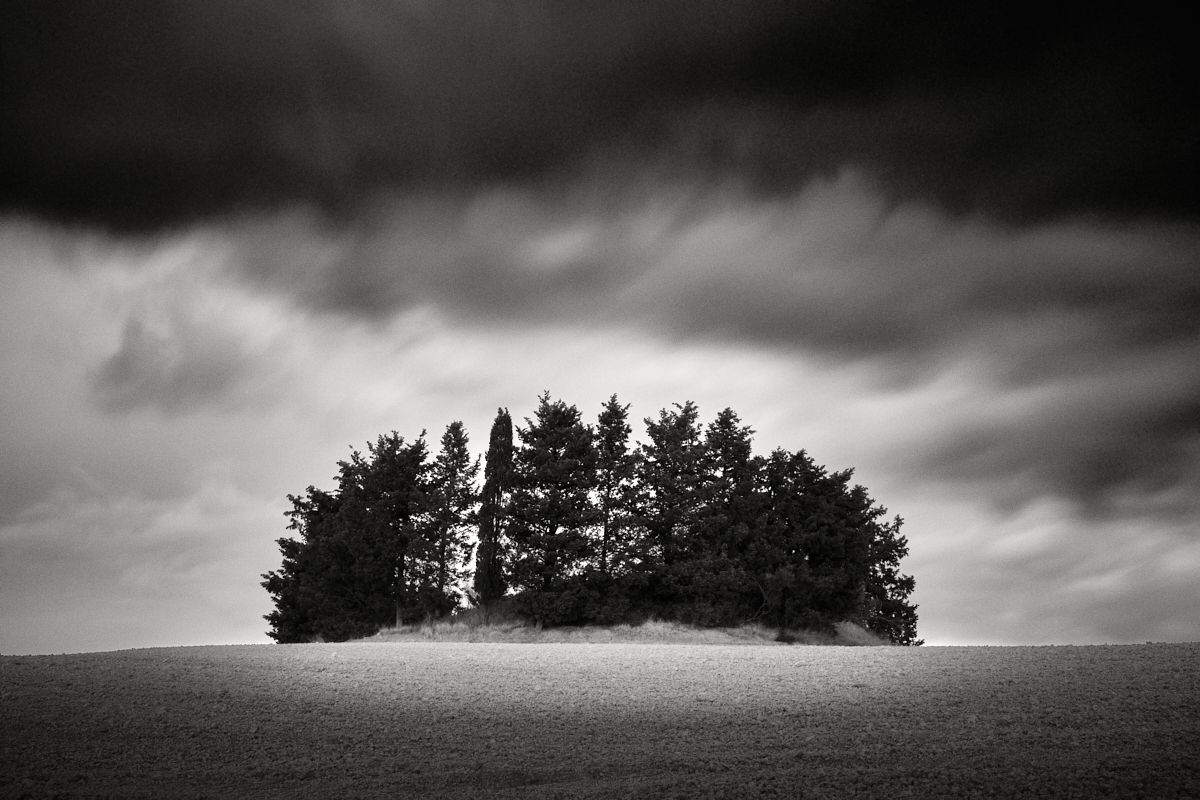 Stasis