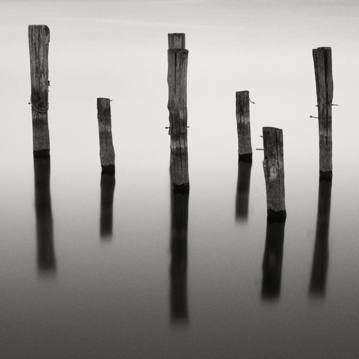 Stasis