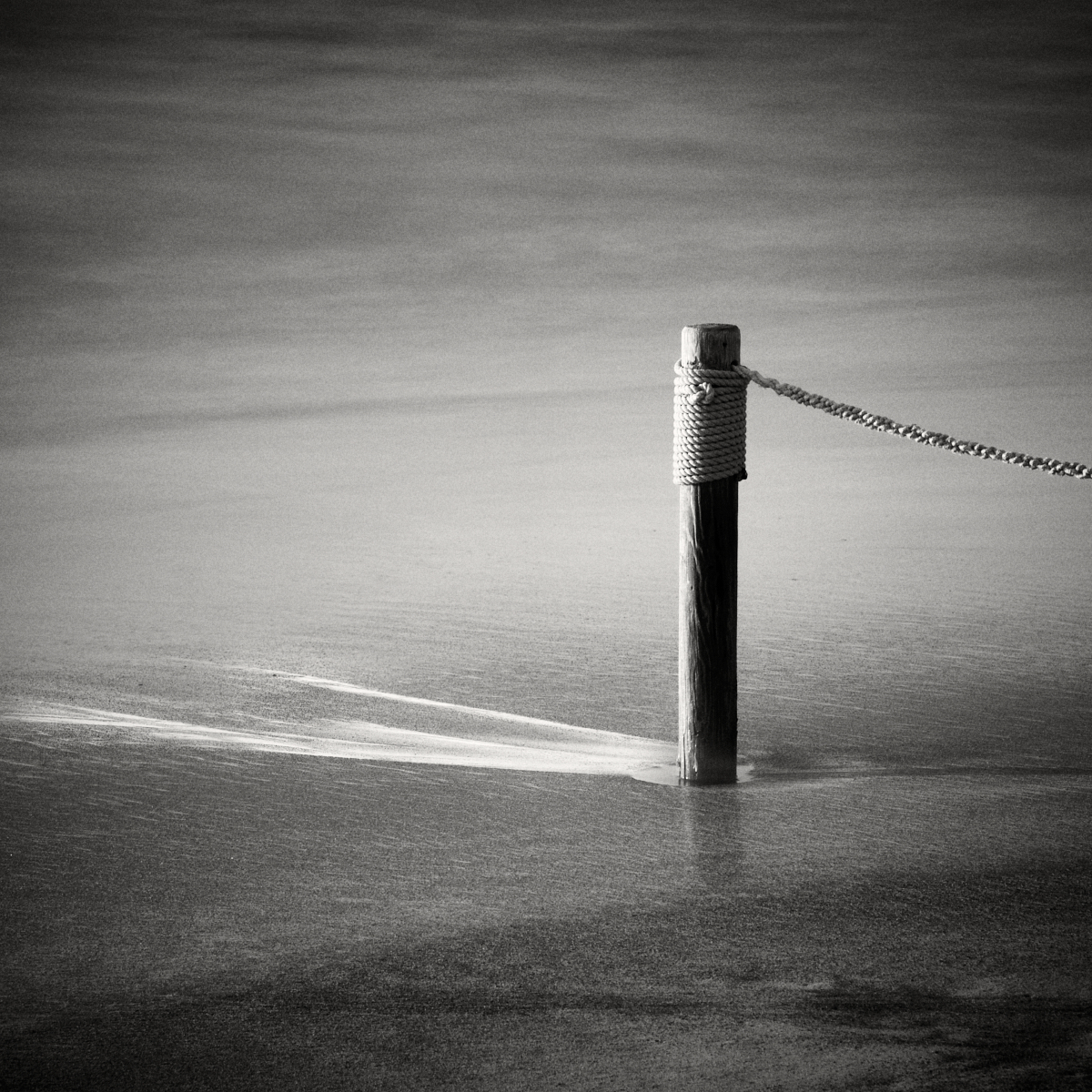 Stasis