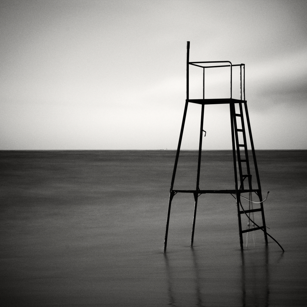 Stasis