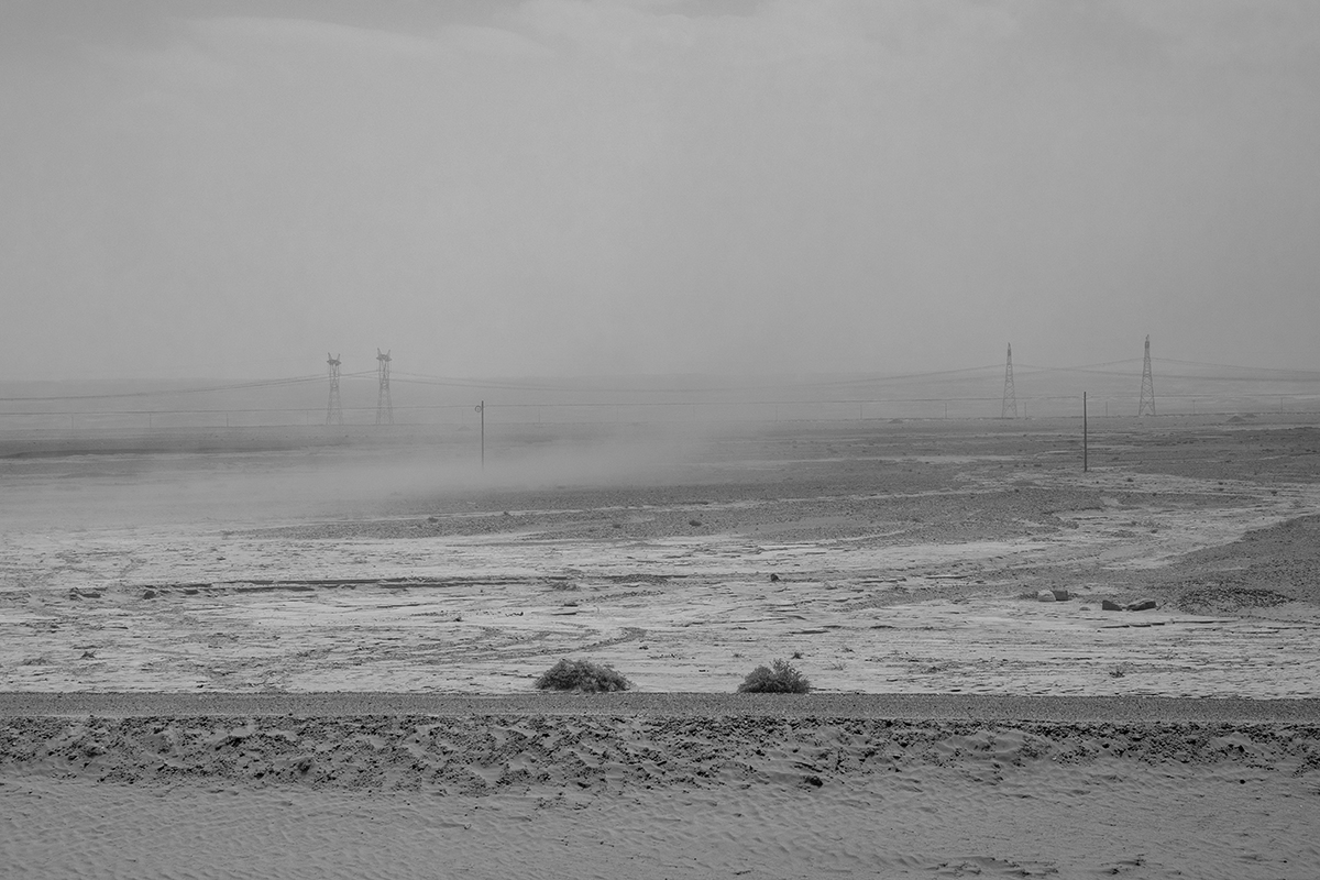 The beauty of a desolate field