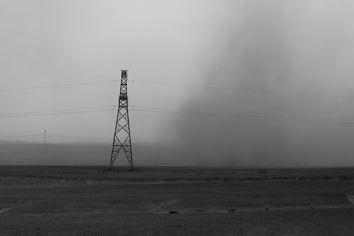 The beauty of a desolate field
