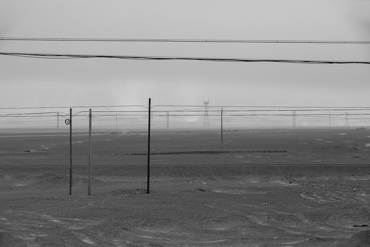 The beauty of a desolate field