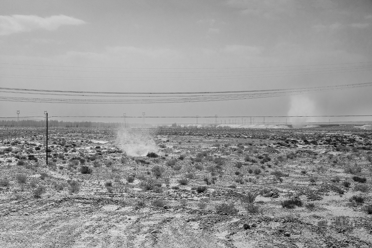 The beauty of a desolate field