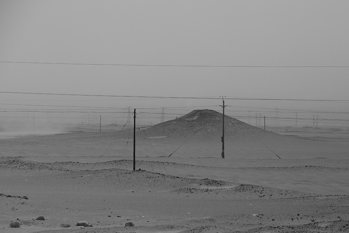 The beauty of a desolate field
