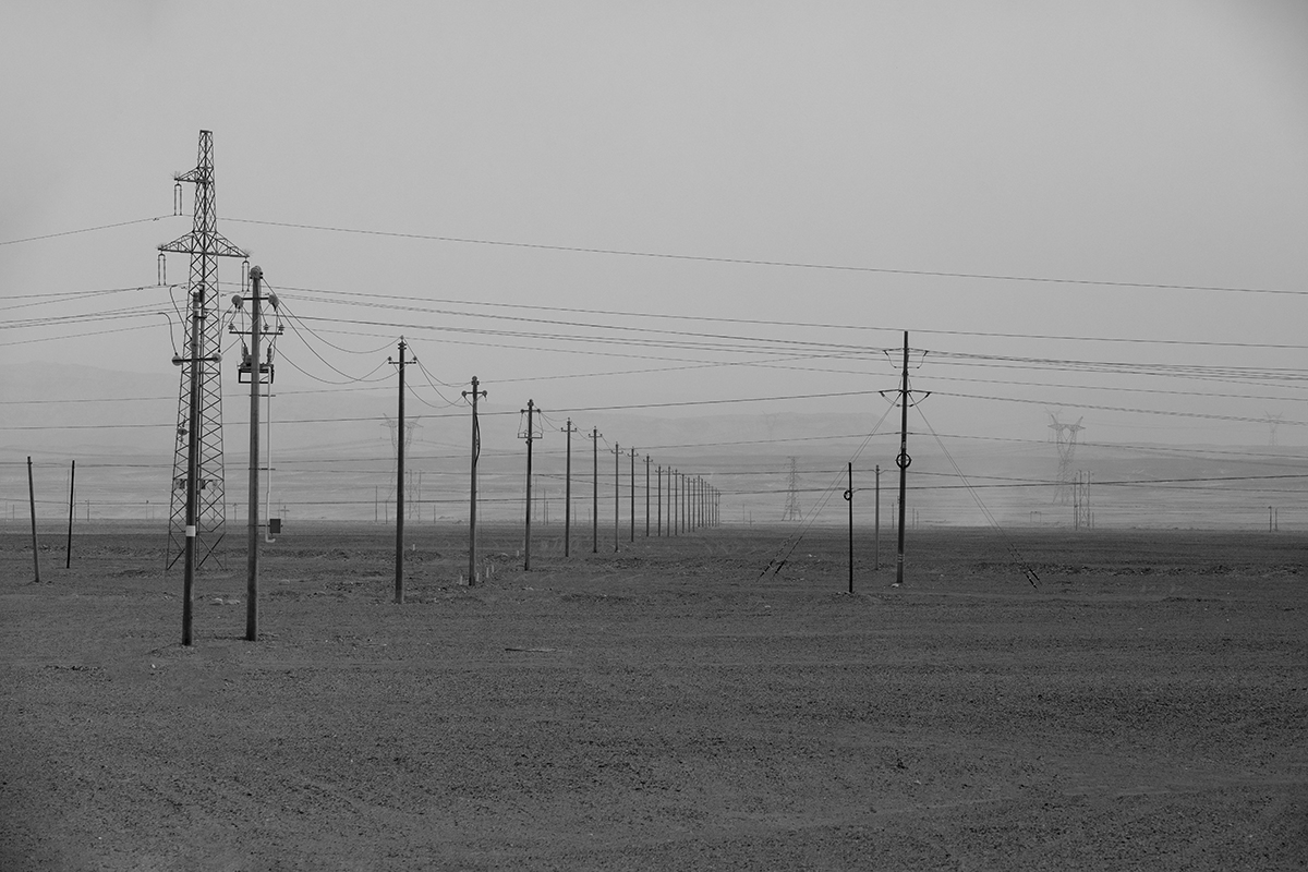 The beauty of a desolate field