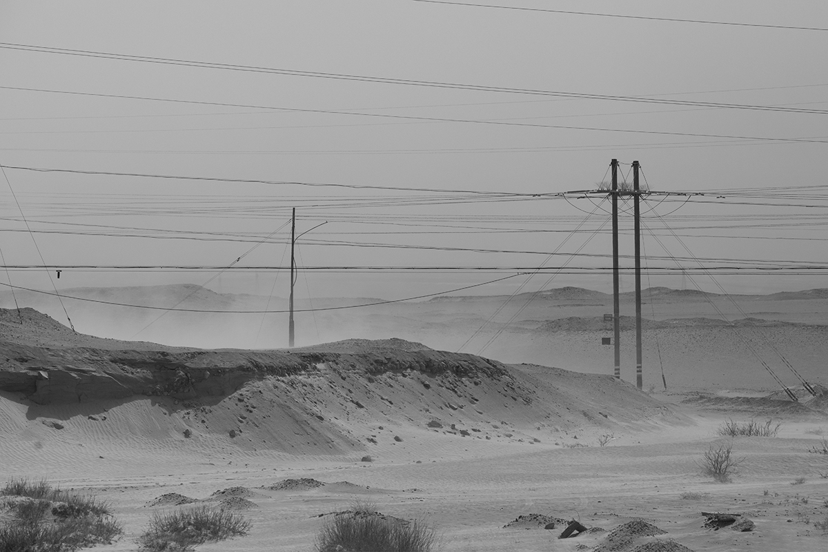 The beauty of a desolate field