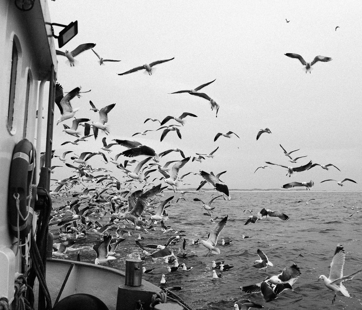 Fisherman.