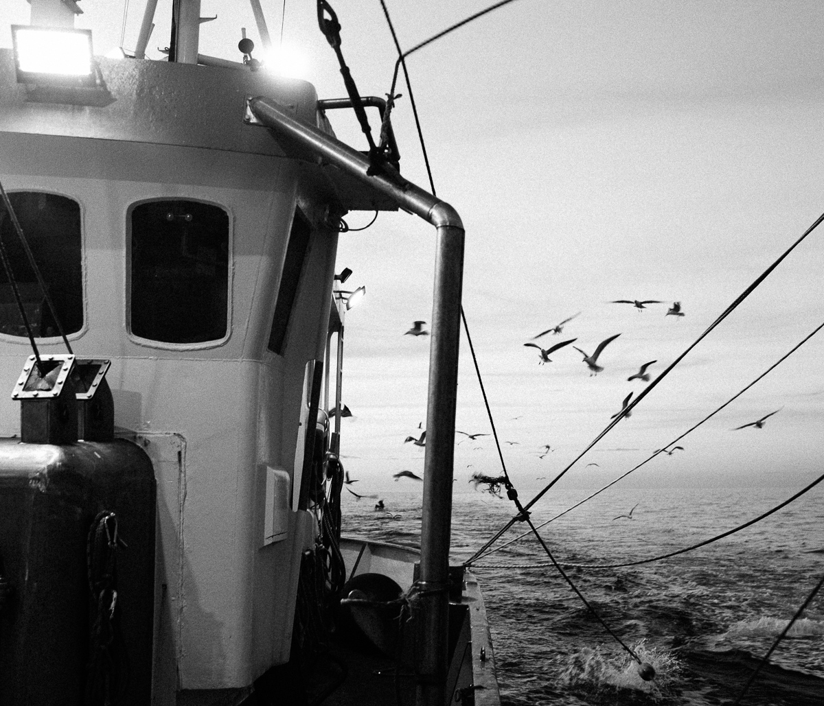 Fisherman.