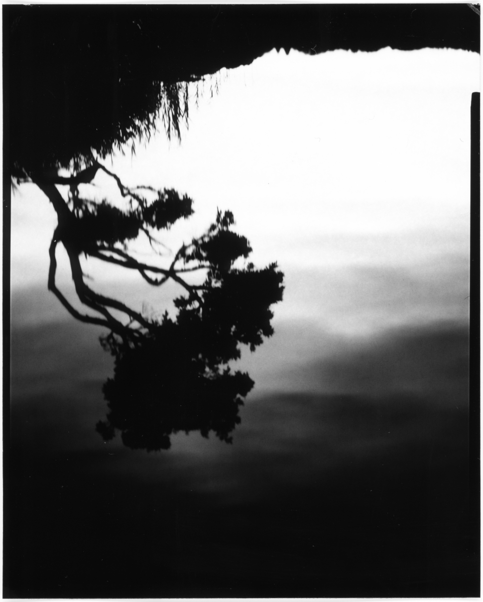 (Motus in Silentio) - IN SITU
