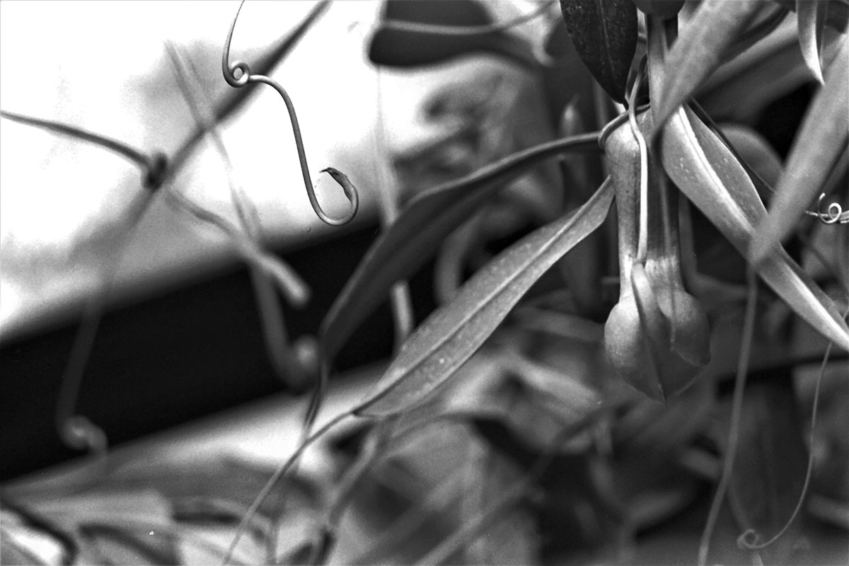 ETHER