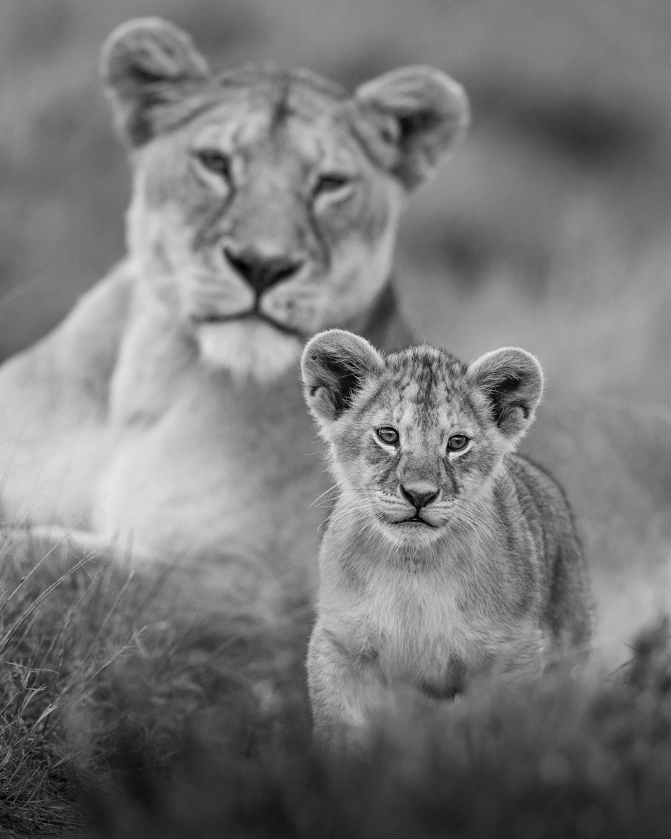 Under Mom's Watch