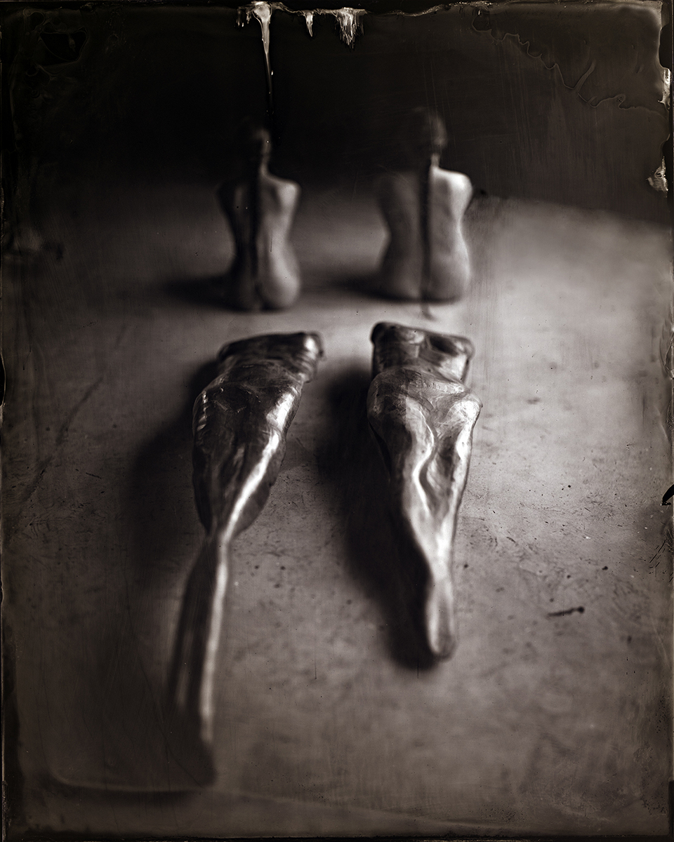 Metamorphosis