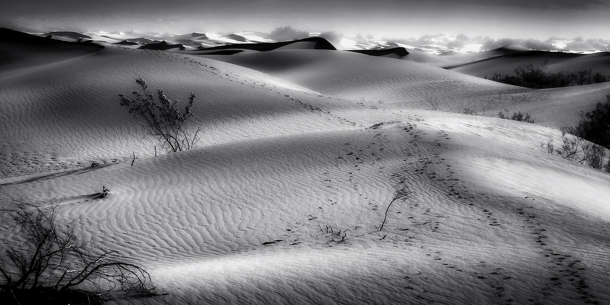 Death Valley Reverie