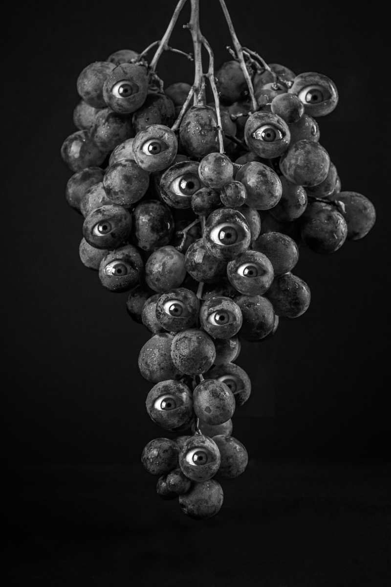 Chimériques errances