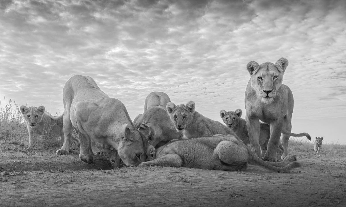 Family is strength