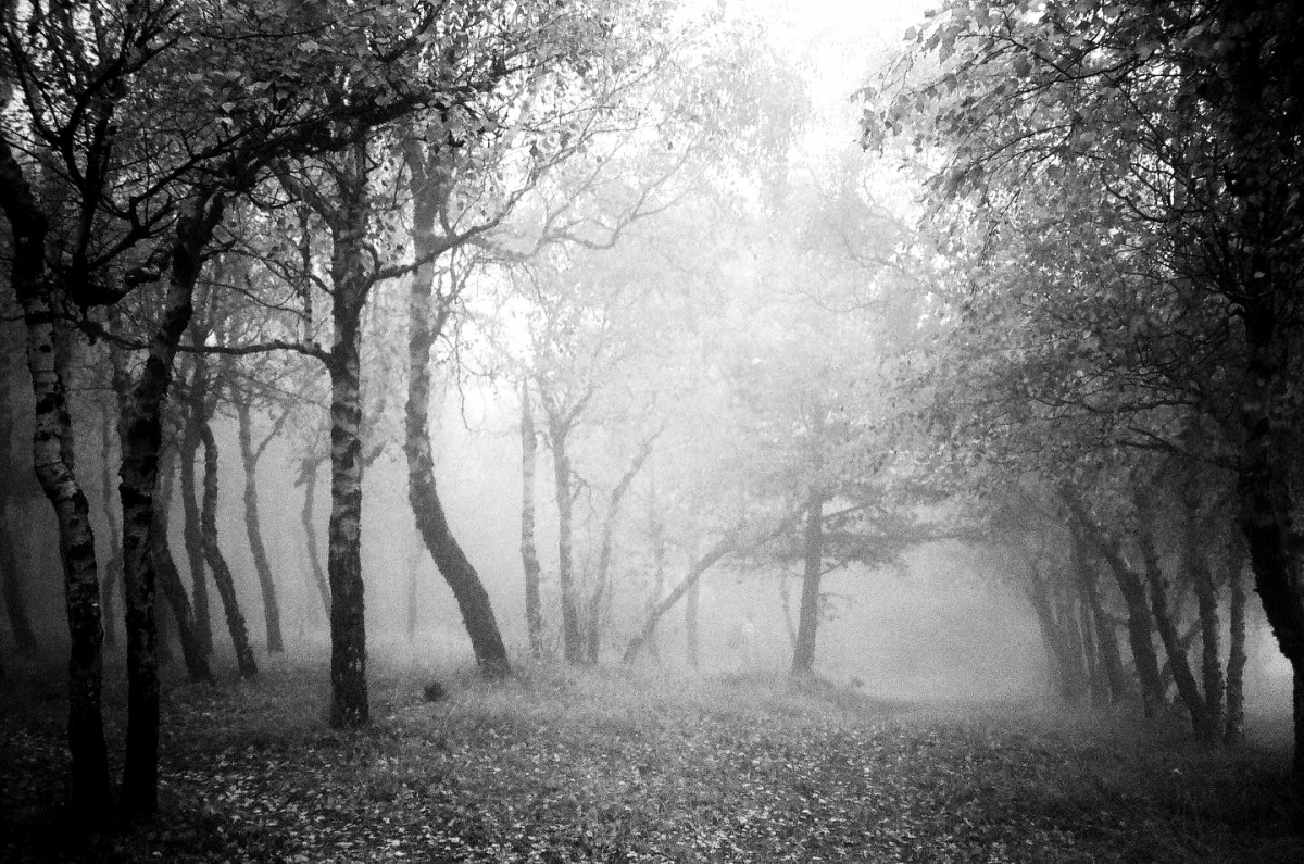 Memories in Mist 