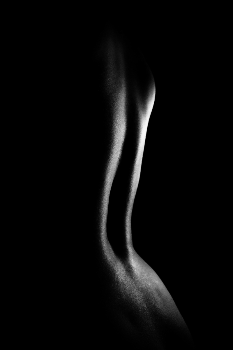 Body, Light, Form.