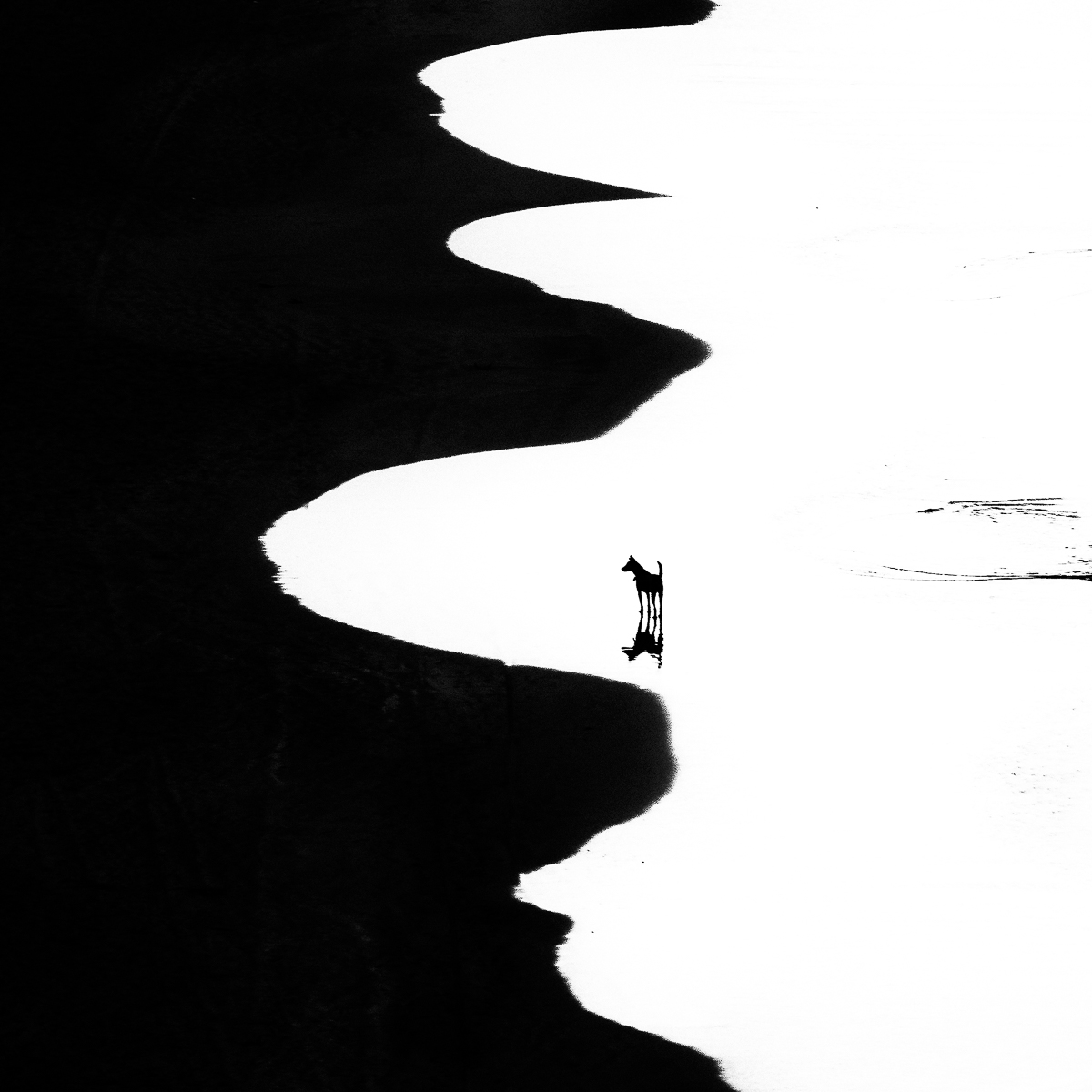 Borderlines