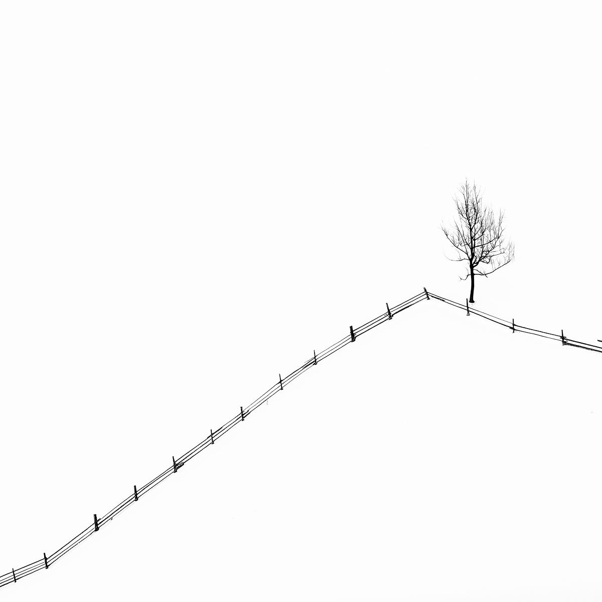 Winter Drawings