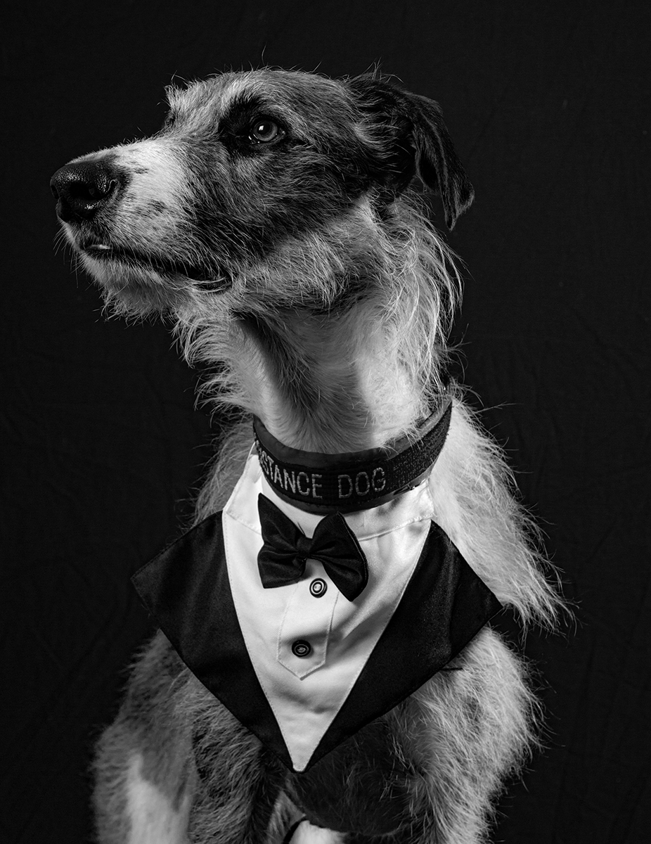 The Attendant
