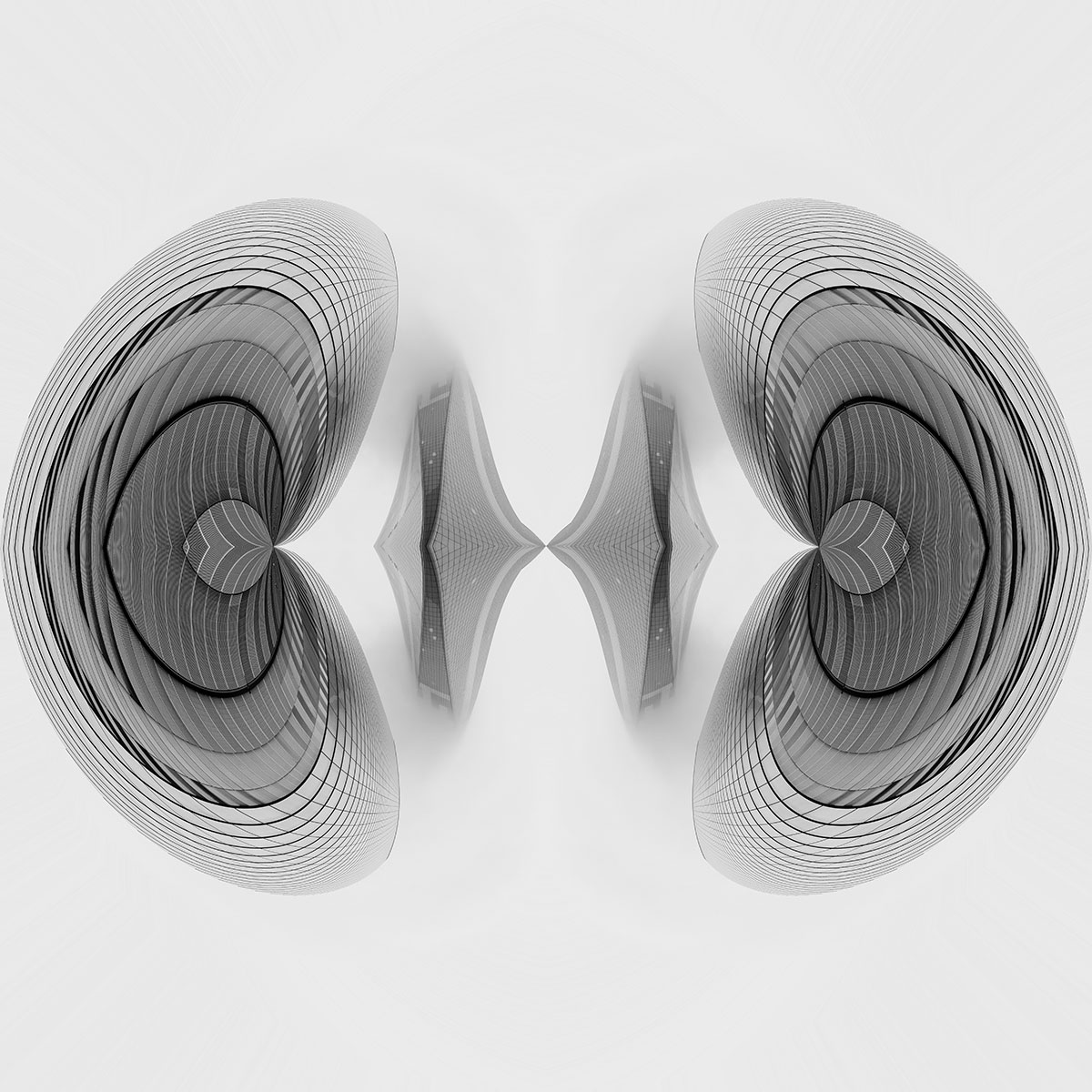 Visions in Grayscale 
