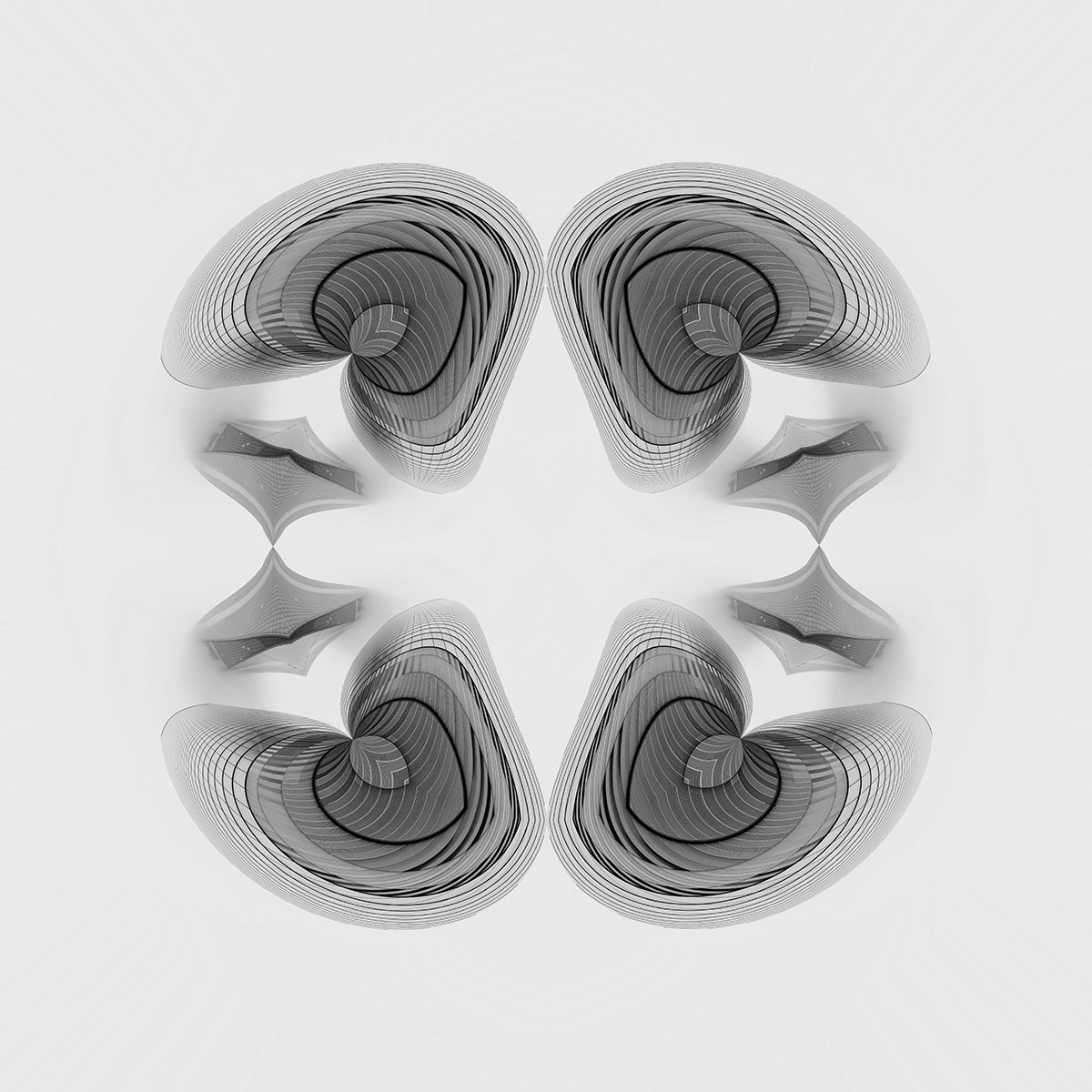 Visions in Grayscale 