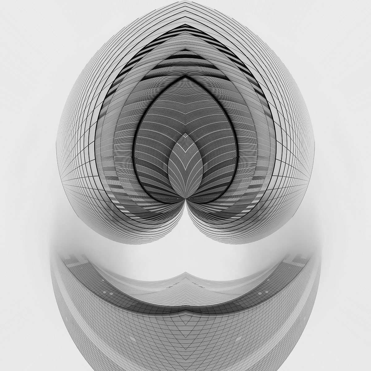Visions in Grayscale 