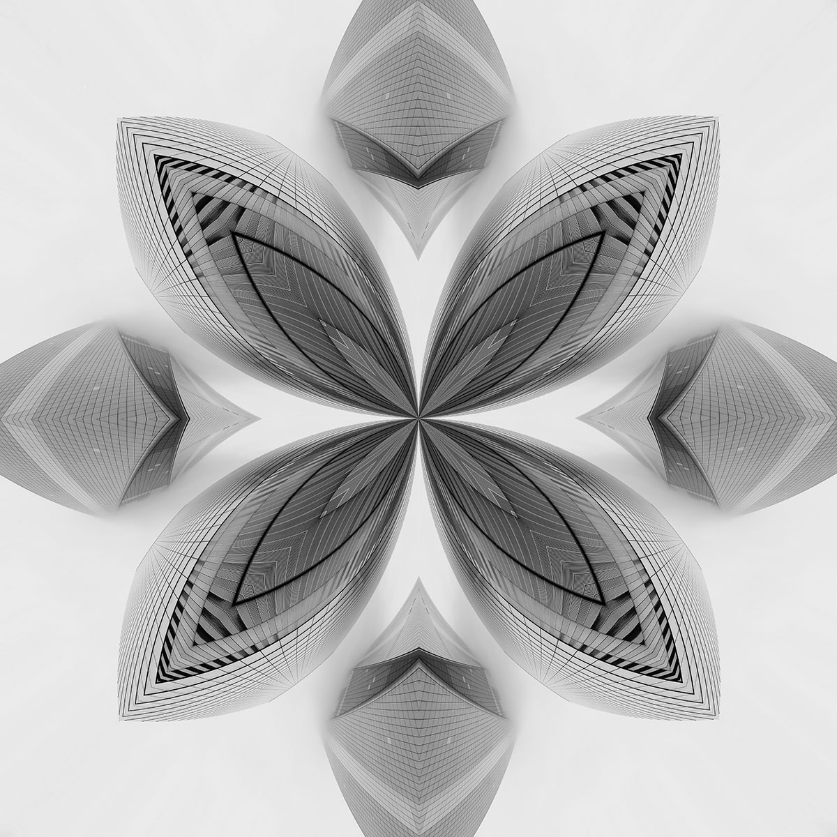 Visions in Grayscale 