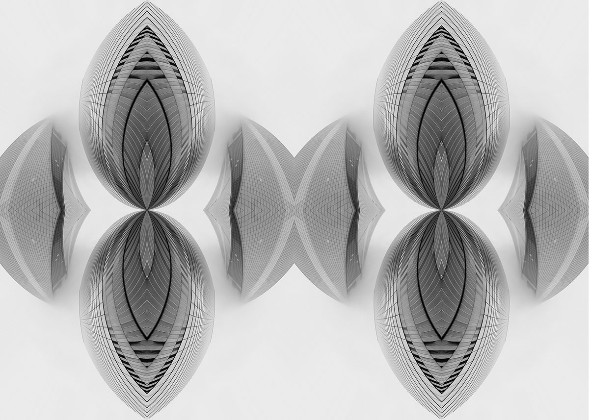 Visions in Grayscale 