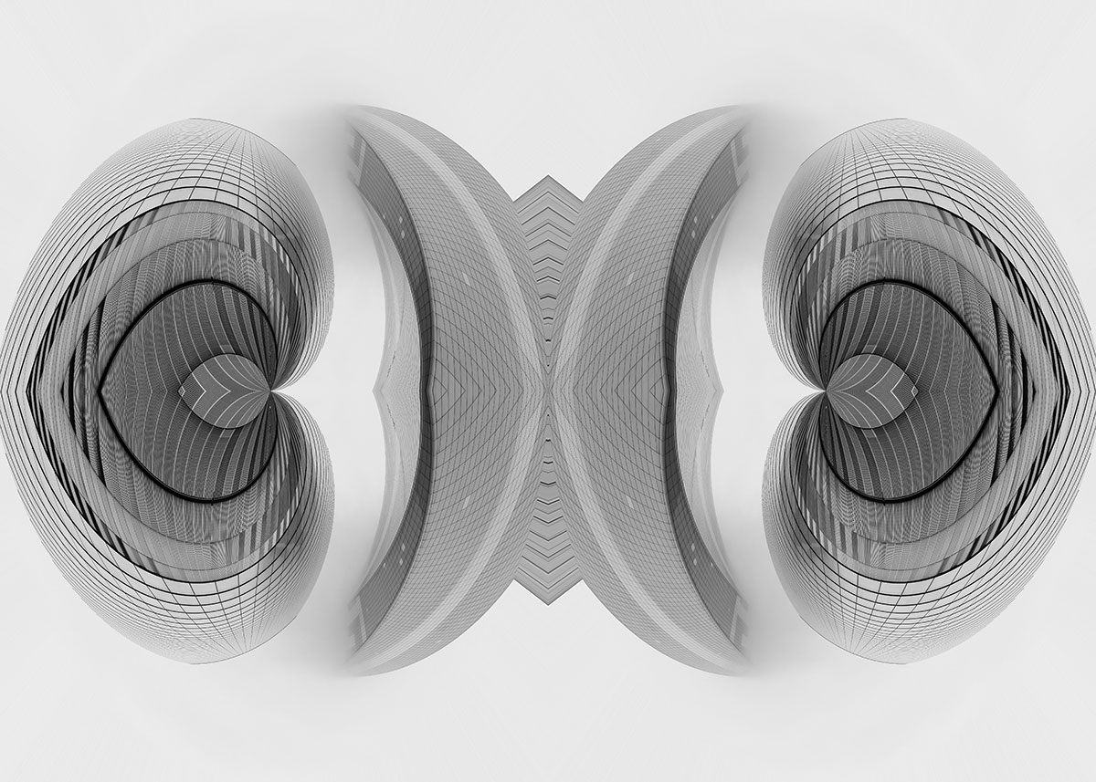 Visions in Grayscale 