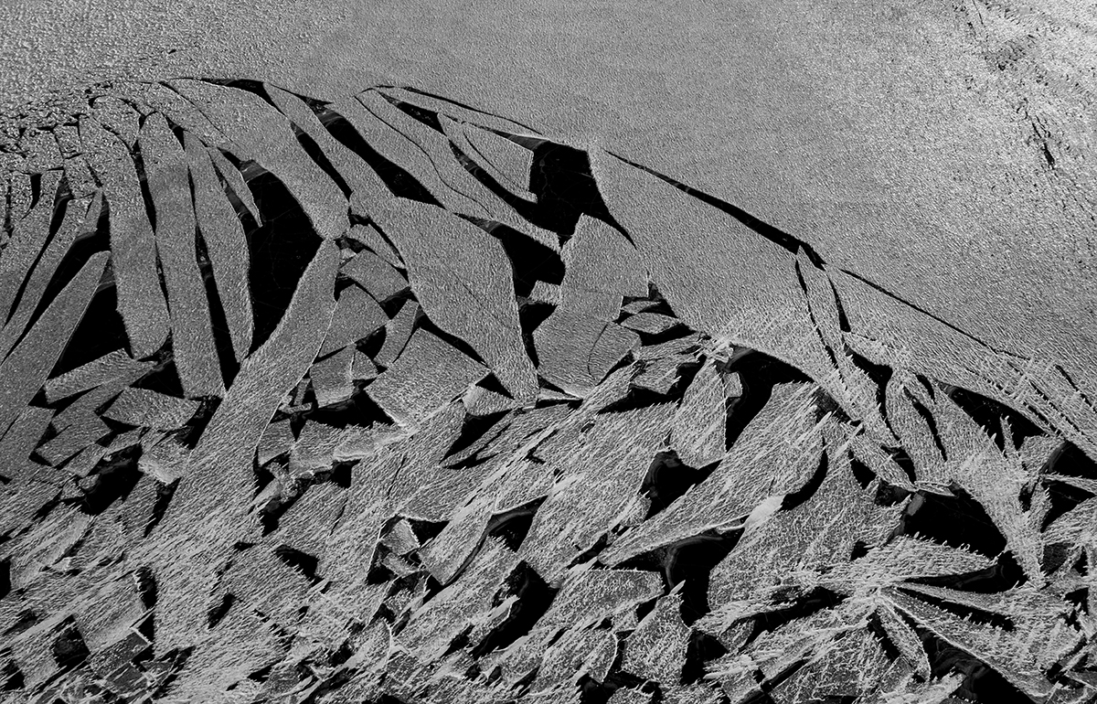 The Aesthetics of Climate Change