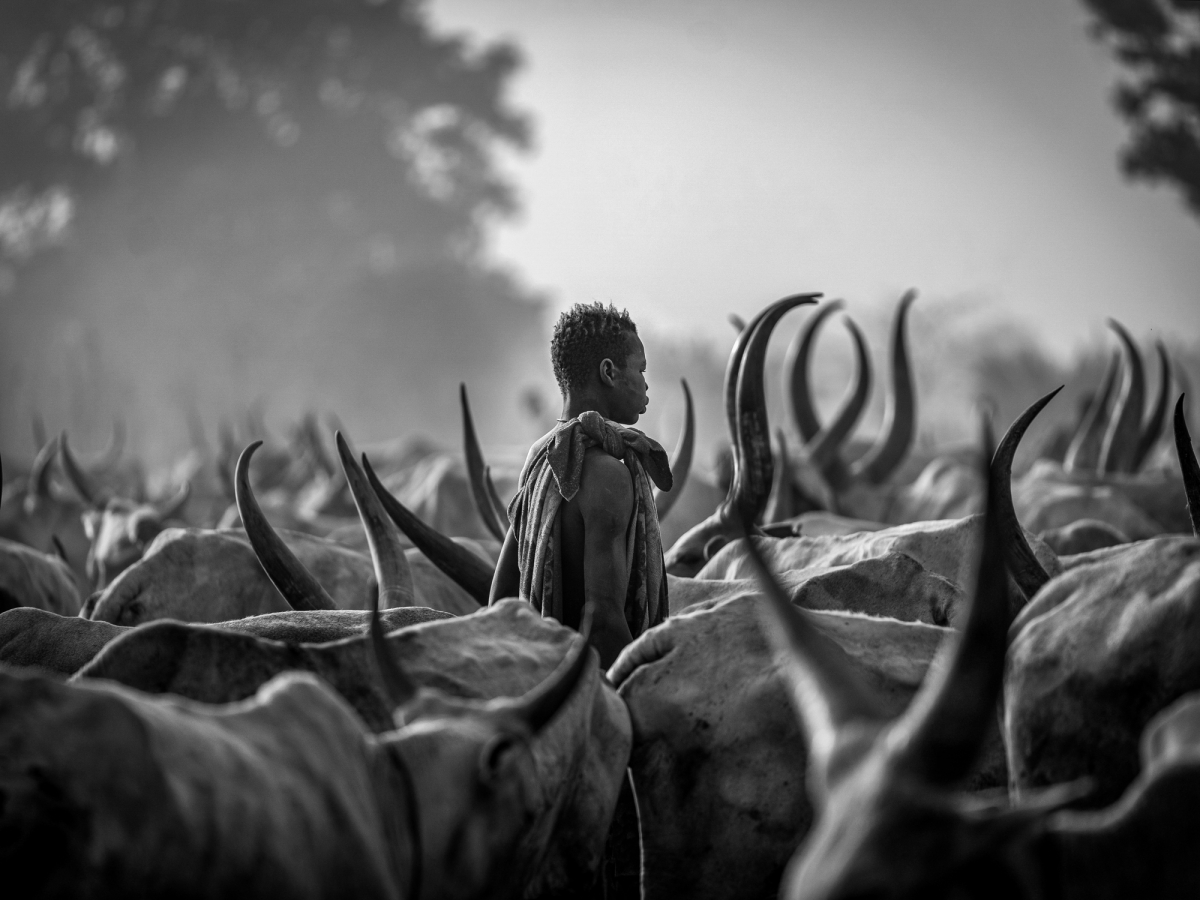 Dust, Horns, and Humanity