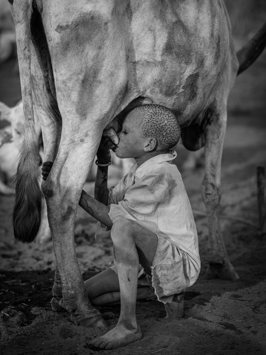 Dust, Horns, and Humanity