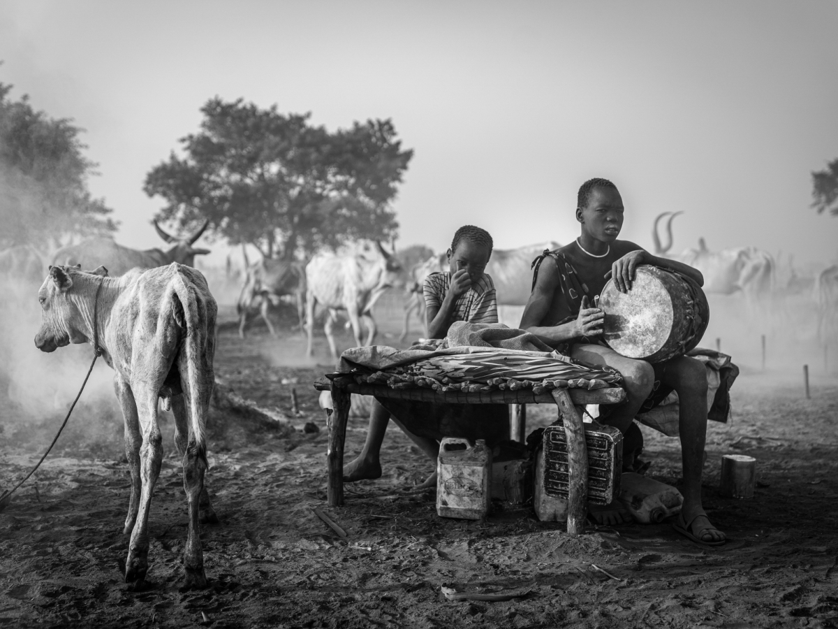 Dust, Horns, and Humanity