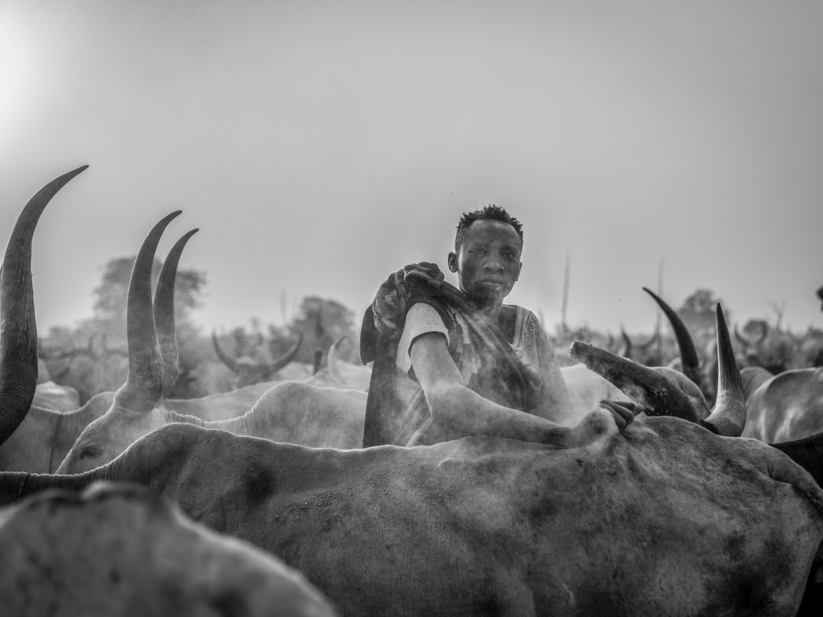 Dust, Horns, and Humanity