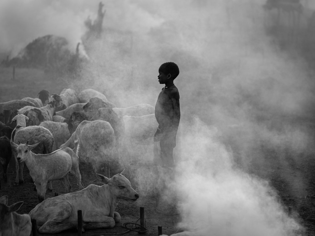 Dust, Horns, and Humanity