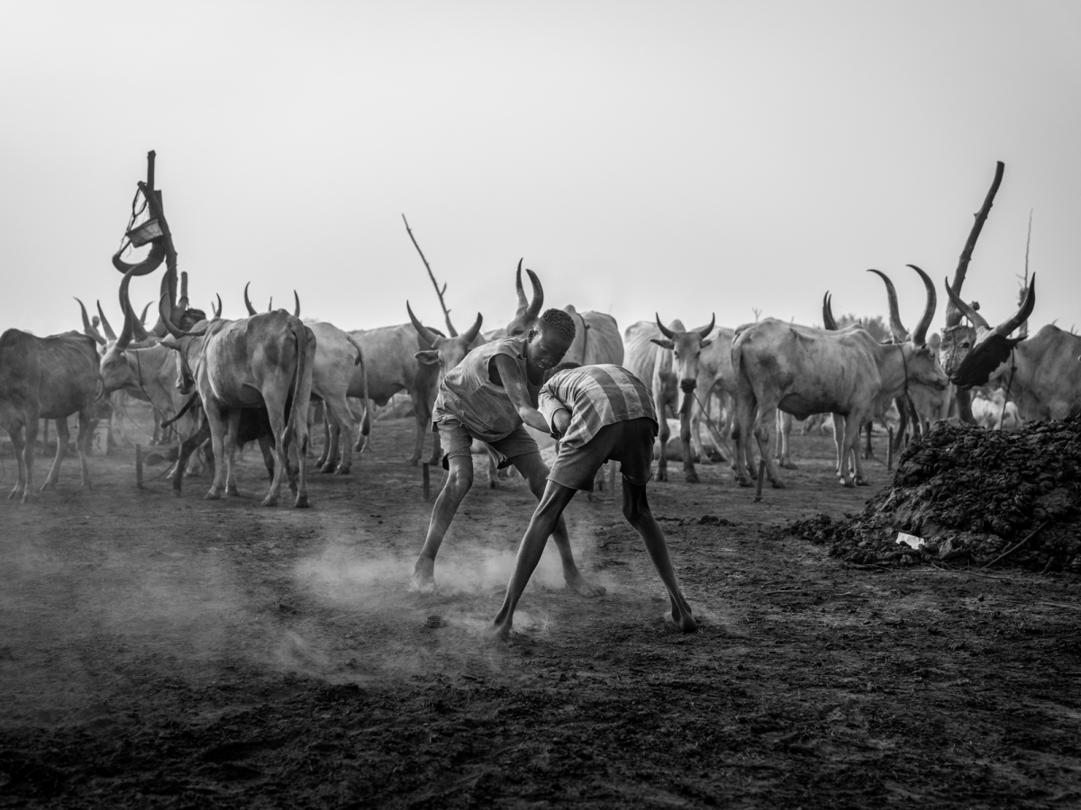 Dust, Horns, and Humanity