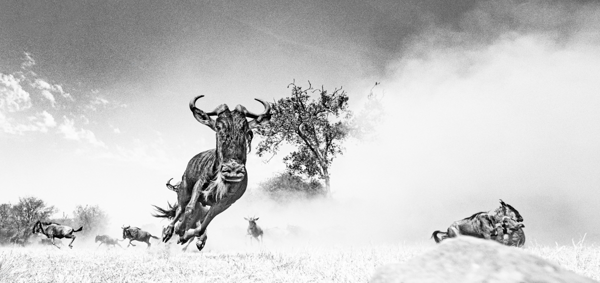 The Great Migration