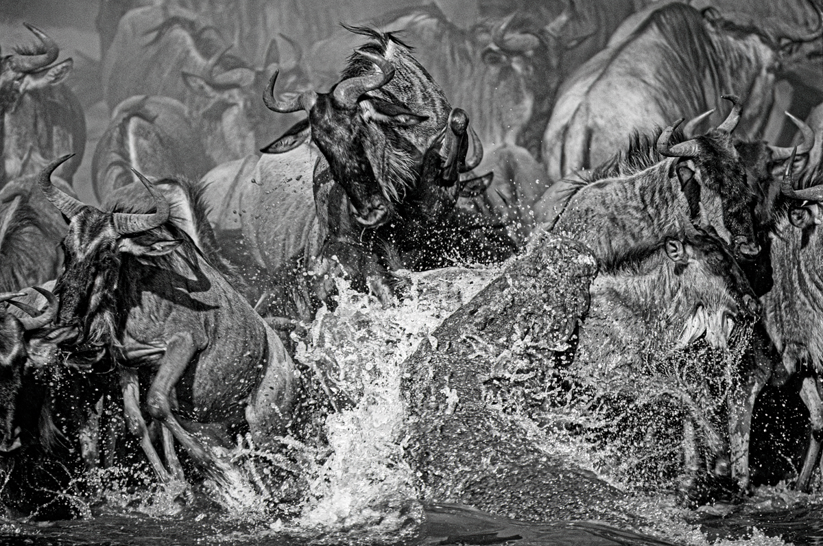 The Great Migration