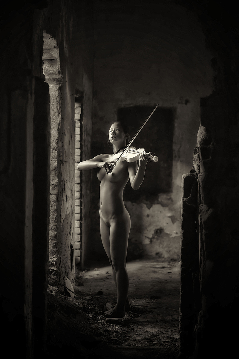 Violin solace